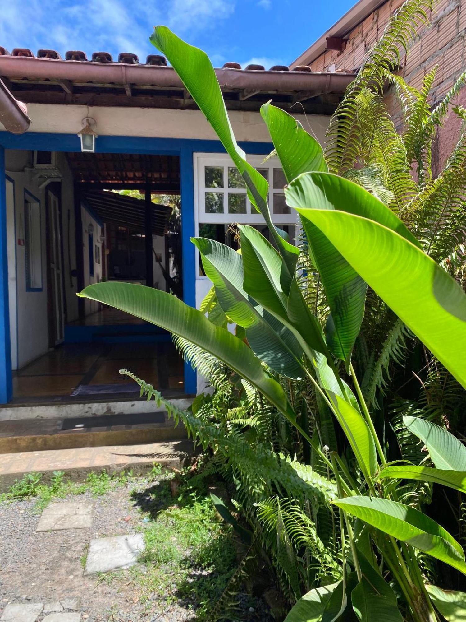 Tropicalia Hostel E Pousada Ітакаре Екстер'єр фото