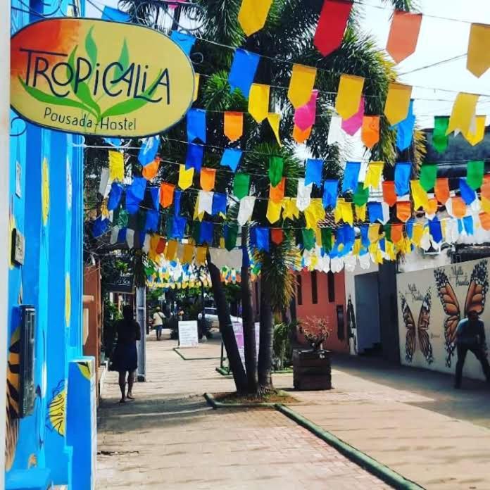 Tropicalia Hostel E Pousada Ітакаре Екстер'єр фото